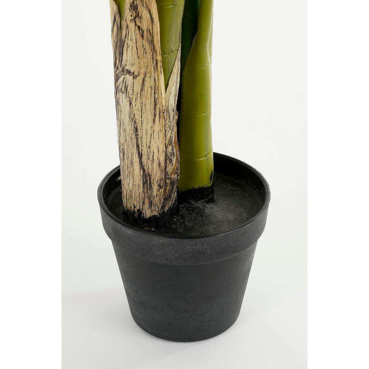 Strelitzia Kunstpflanze - H100 x Ø40 cm - Grün - HomeDesign Knaus