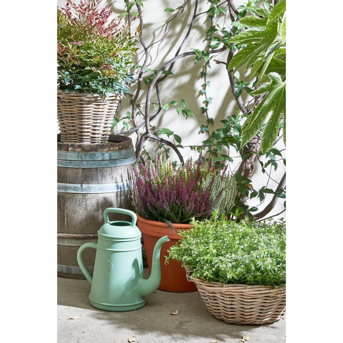Tobi Gießkanne – 8 Liter – recycelter Kunststoff – Hellgrün - HomeDesign Knaus