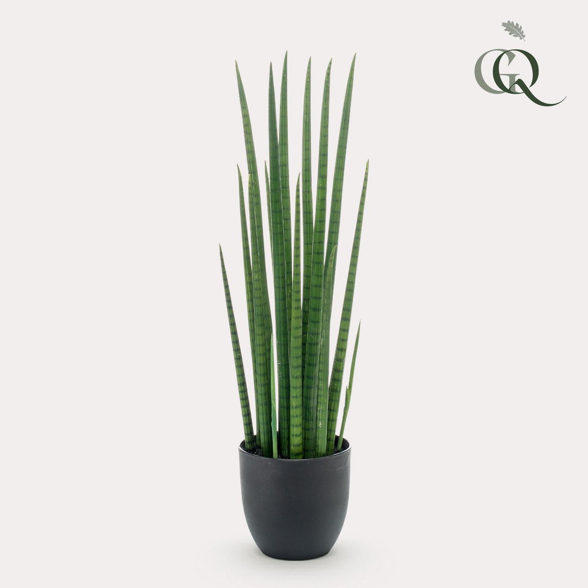 Kunstpflanze - Sanseveria Cylindrica - Frau Zunge - 70 cm