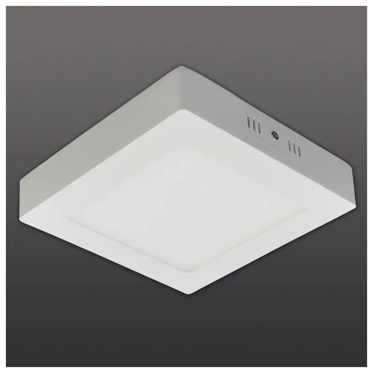 LED Deckenleuchte "SIMPLEX" s:17cm