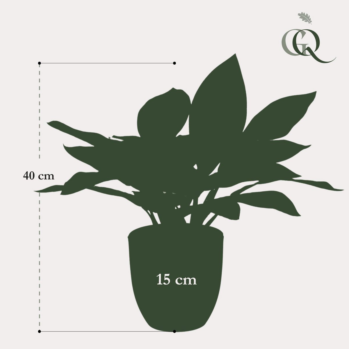 Kunstpflanze - Croton Codiaeum - Wonder Bush - 38 cm