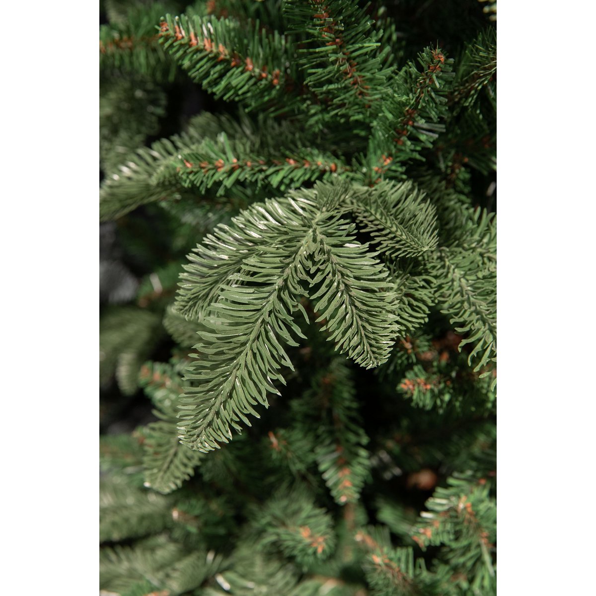 Abies Nordmann Guirlande - L180 cm - Groen