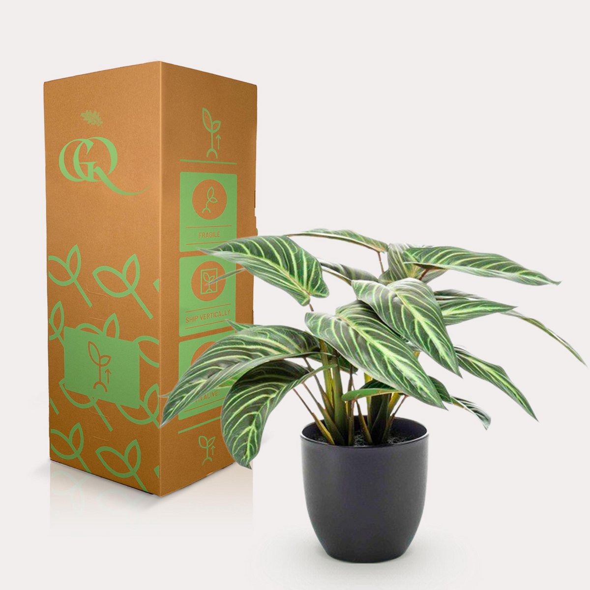 Kunstpflanze - Calathea Zebrina - Schattenpflanze - 38 cm