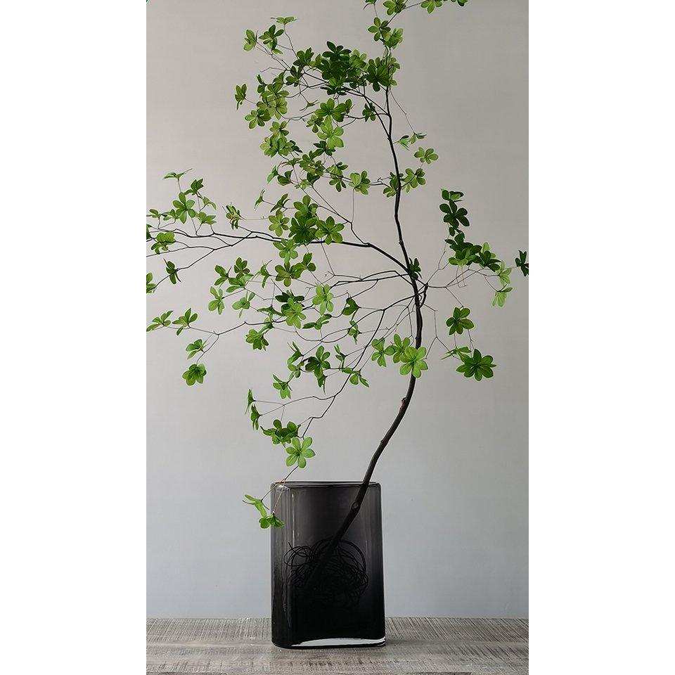 1 - HomeDesign Knaus