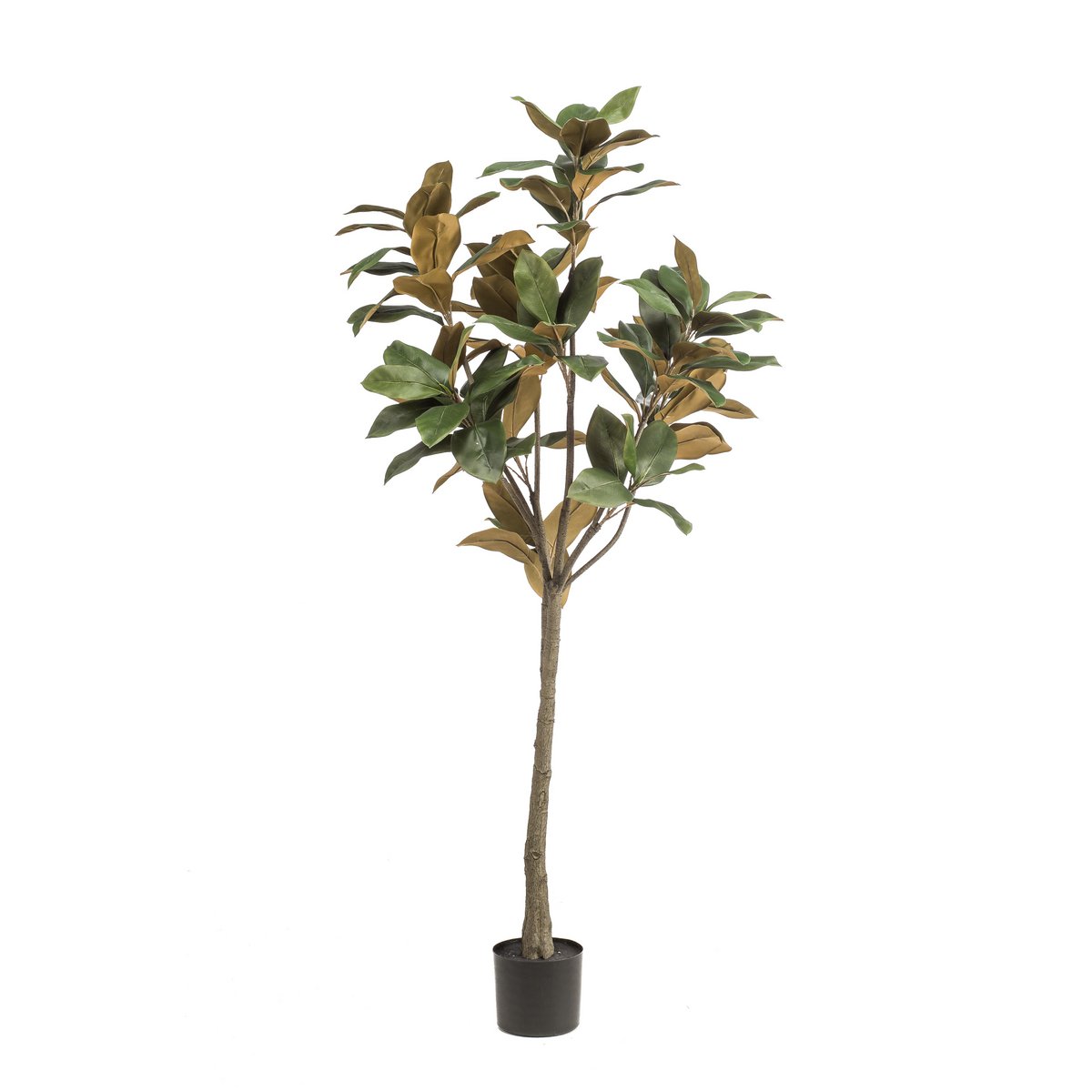 Künstliche Pflanze - Magnolia Grandiflora - 150 cm