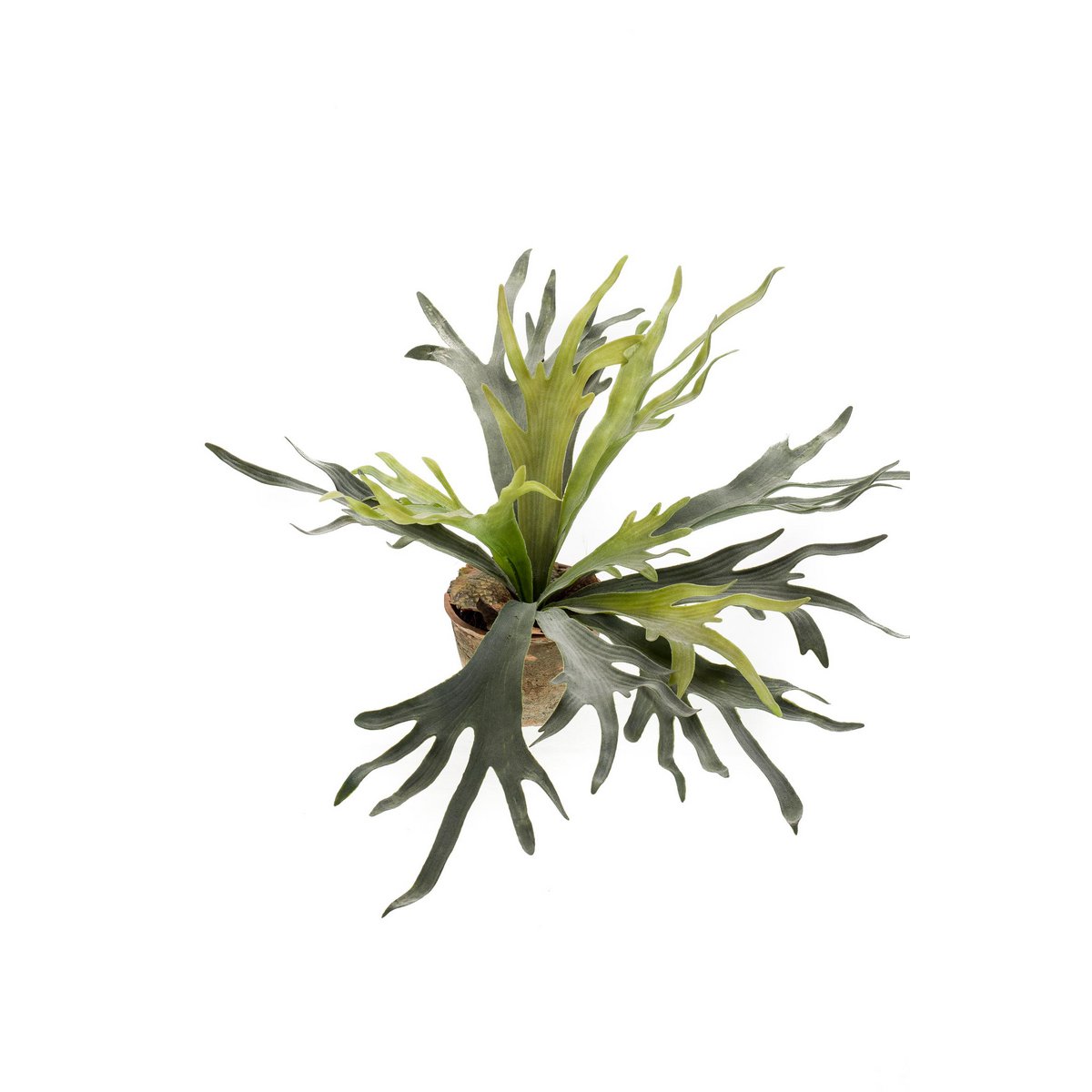 Kunstpflanze - Staghorn Fern - Hertshoorn - 50 cm
