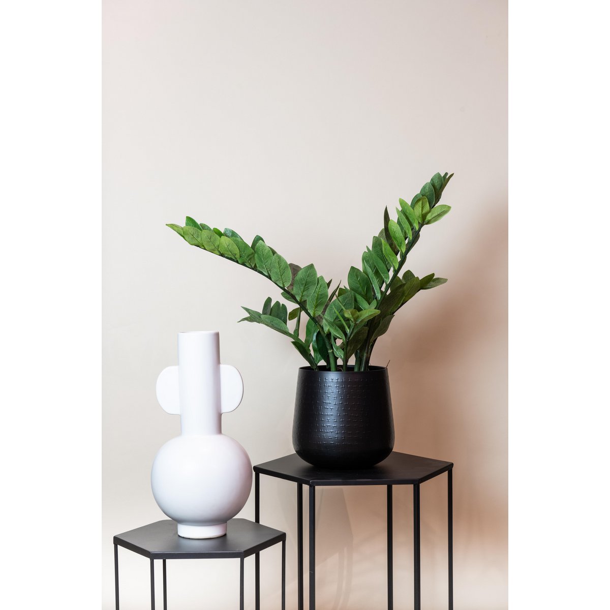 Künstliche Pflanze - Zamioculcas - Stadtpalme - 70 cm