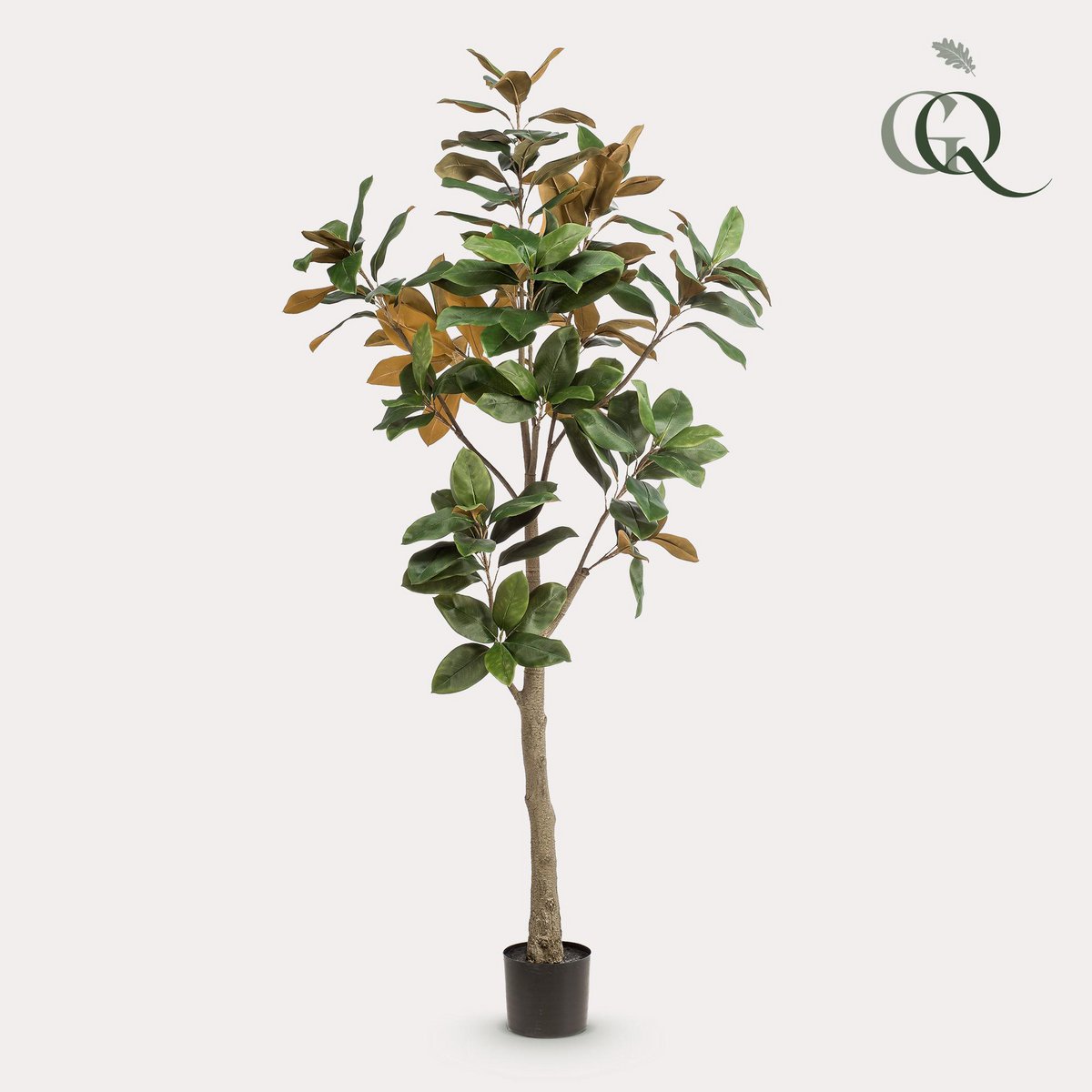 Künstliche Pflanze - Magnolia Grandiflora - 180 cm