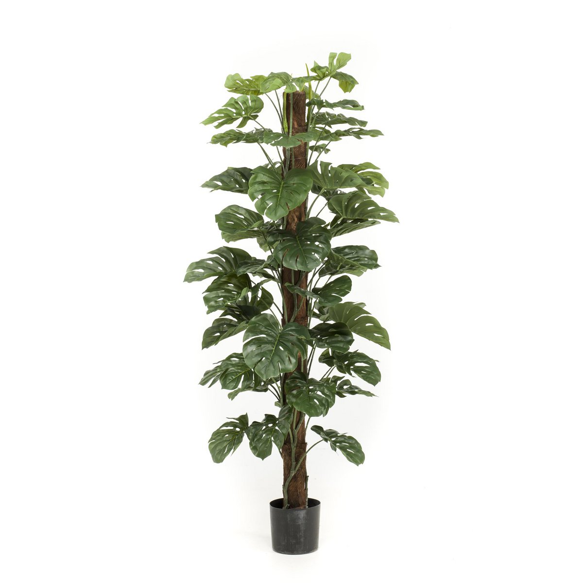Monstera Deliciosa - Kunstpflanze - 180 cm