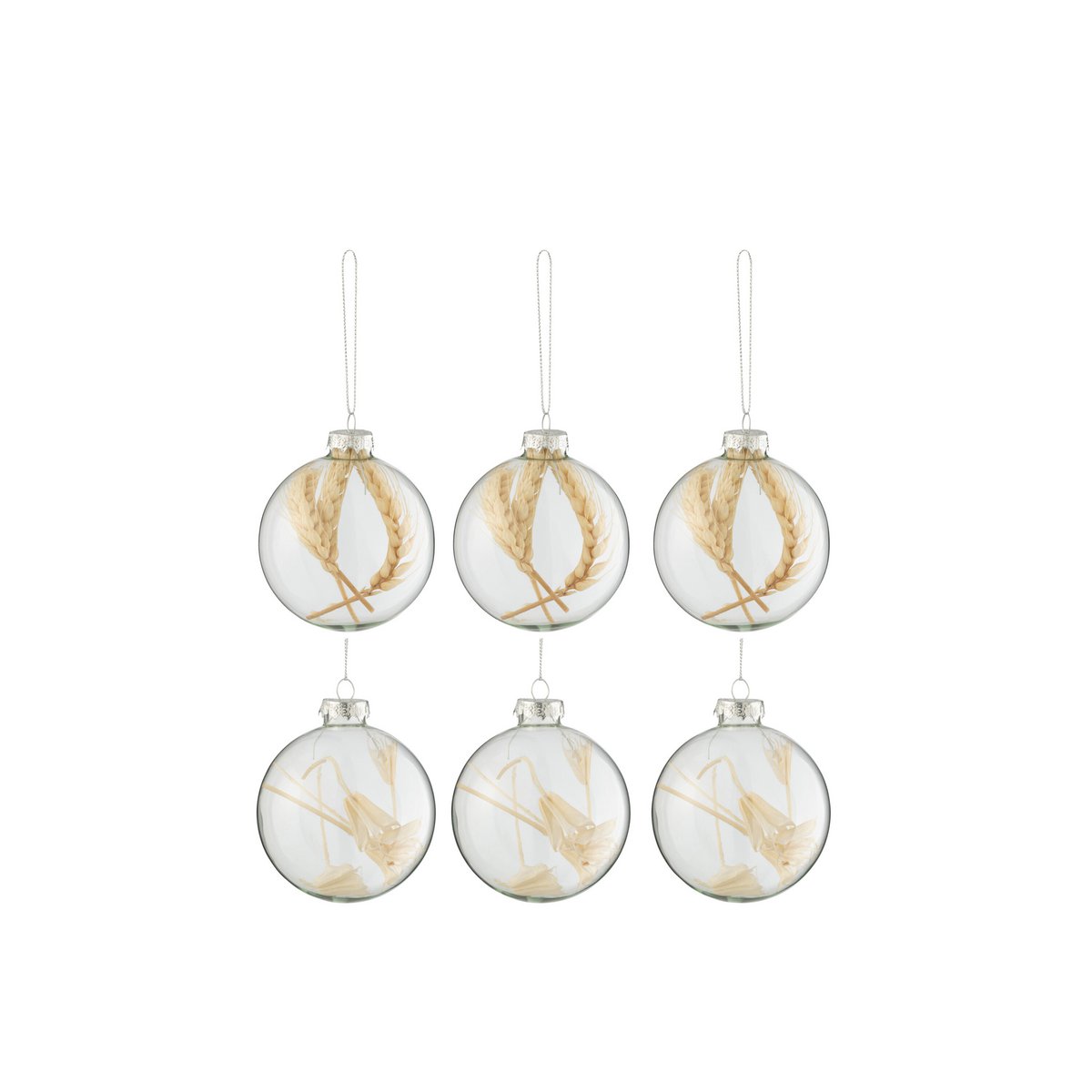 J-Line Box mit 6 Weihnachtskugeln, getrockneten Zweigen, beige, Glas, transparent, klein
