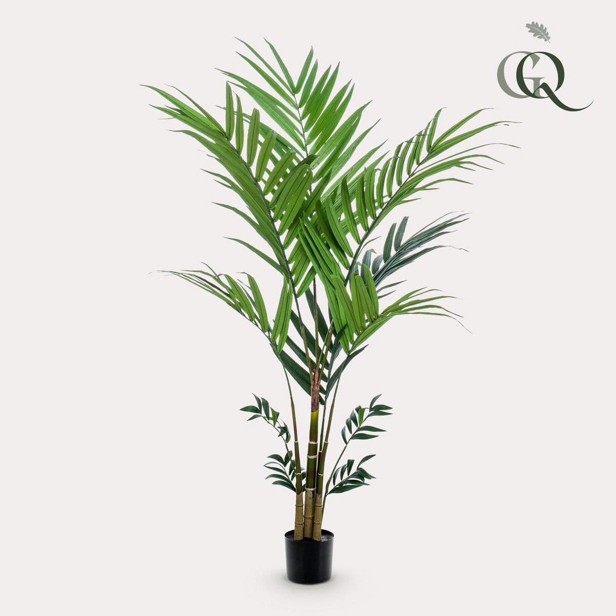Kunstpflanze - Kentia -Kentiapalm - 180 cm