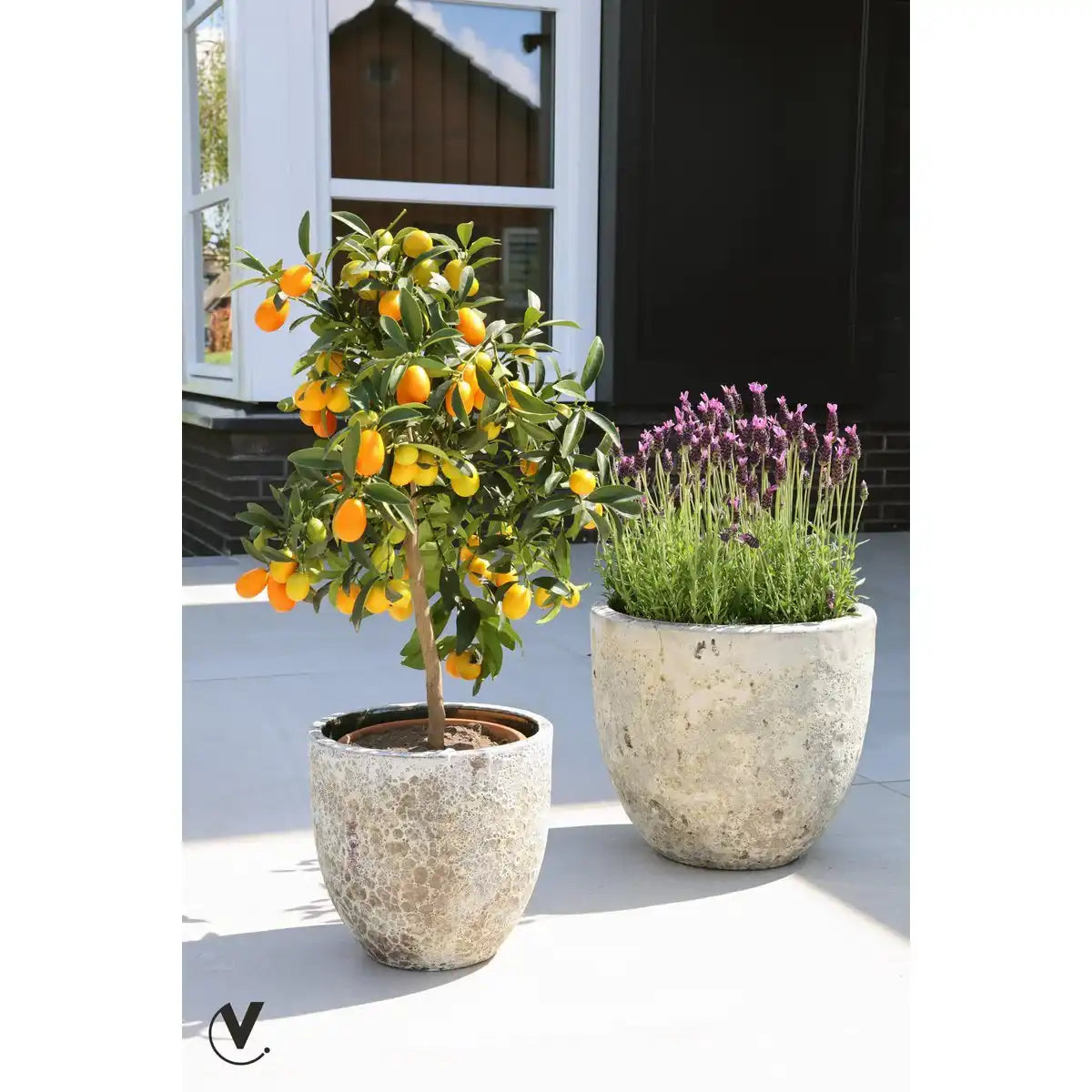 2er Set Laki Relic Beige Blumentopf - HomeDesign Knaus