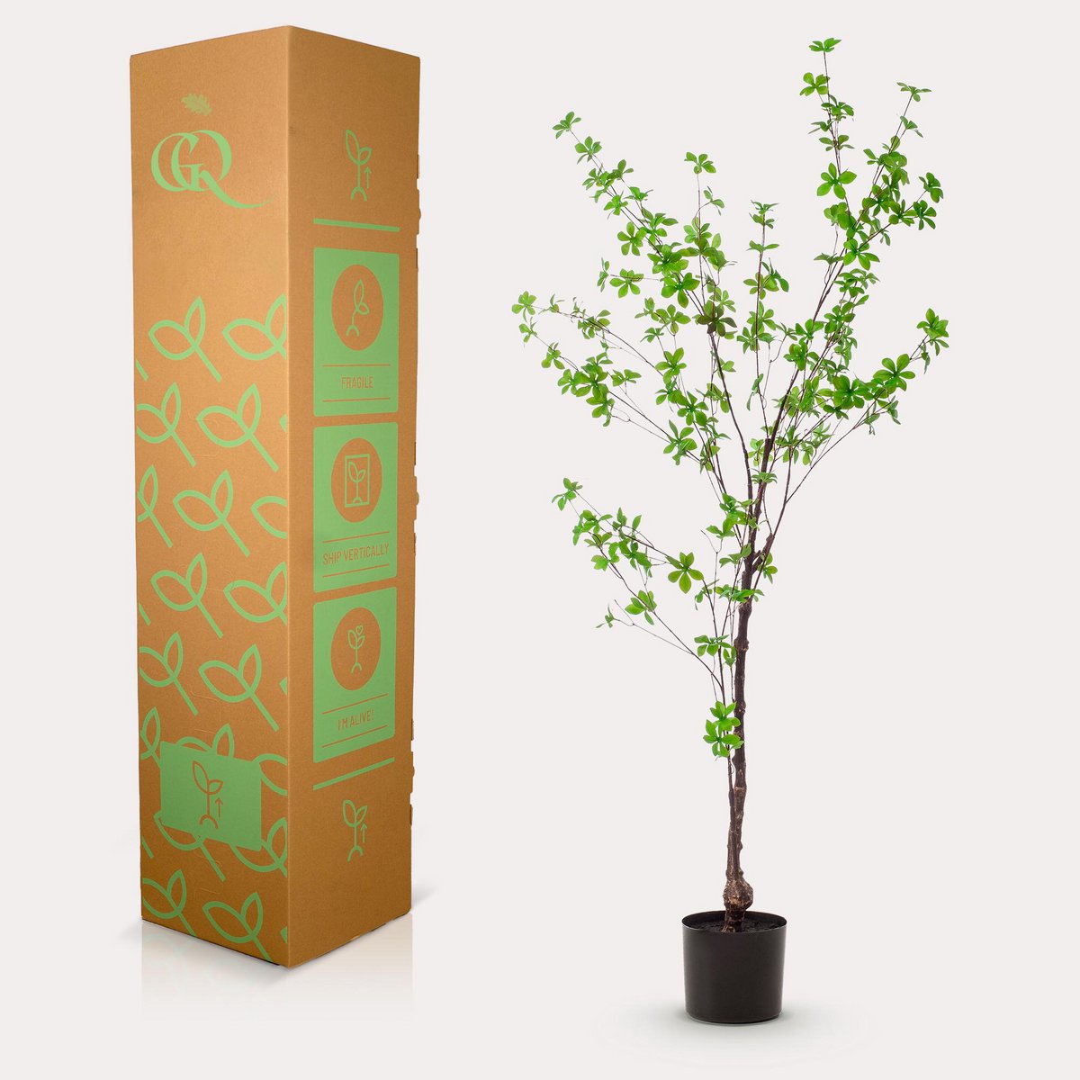 Kunstpflanze - Tropseolum attraktiv - Oost Indistent - 150 cm