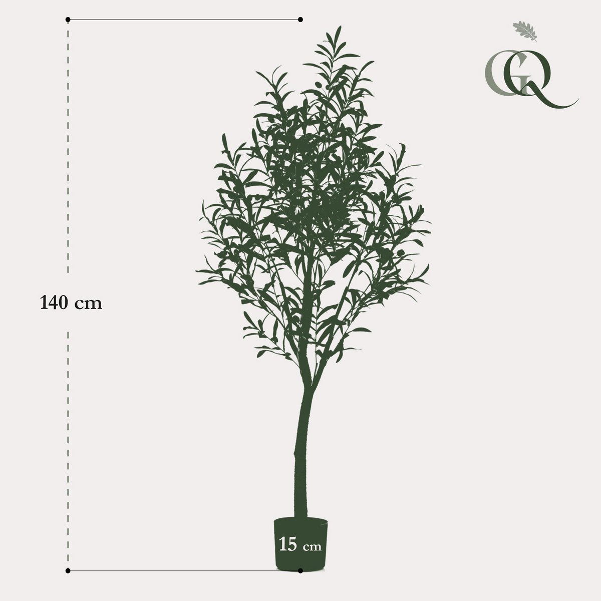 Art Olivenbaum - Olea Europaea - Olivenbaum - 140 cm