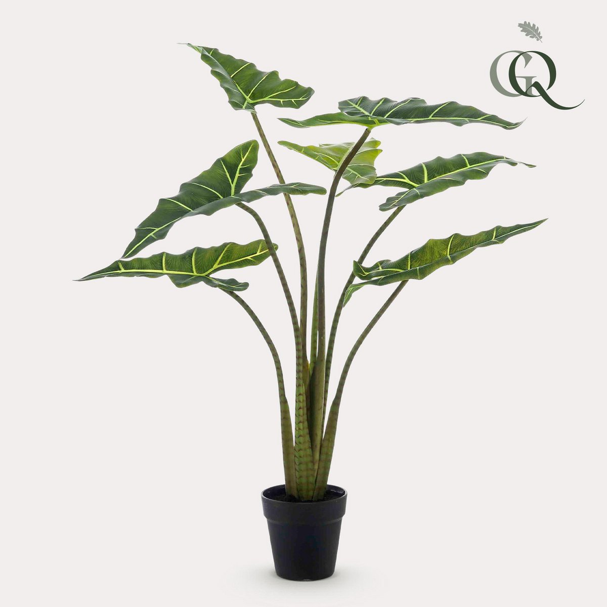 Künstliche Pflanze - Alocasia Frydek - Elefantenohr - 100 cm