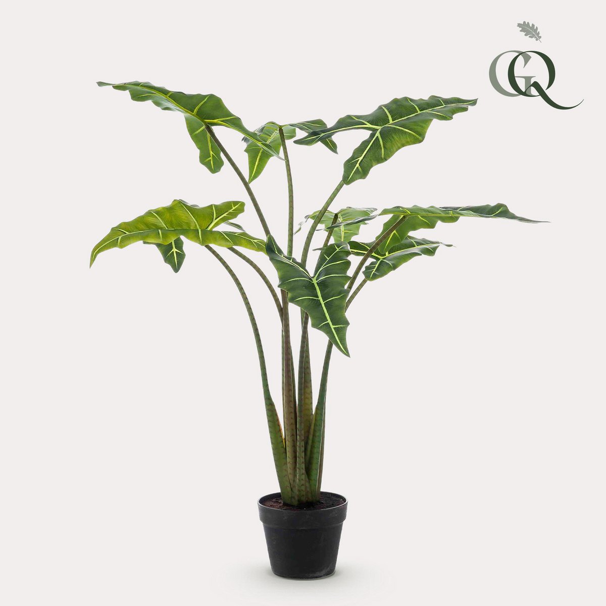 Künstliche Pflanze - Alocasia Frydek - Elefantenohr - 120 cm