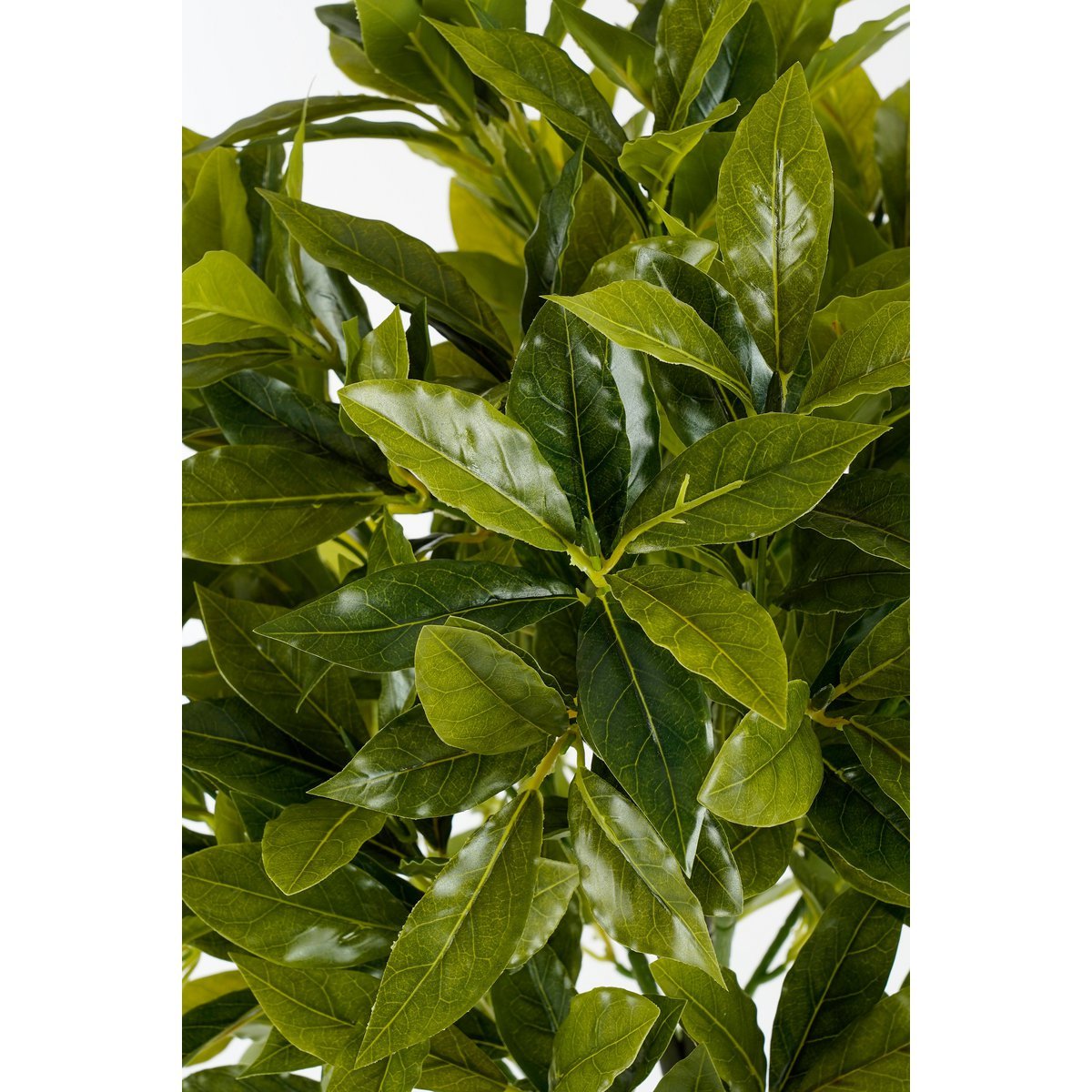 Künstliche Pflanze Laurelbaum - H120 x Ø40 cm - Grün