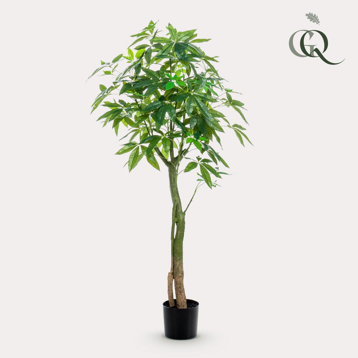 Künstliche Pflanze - Pachira aquatica - Geldboom - 150 cm