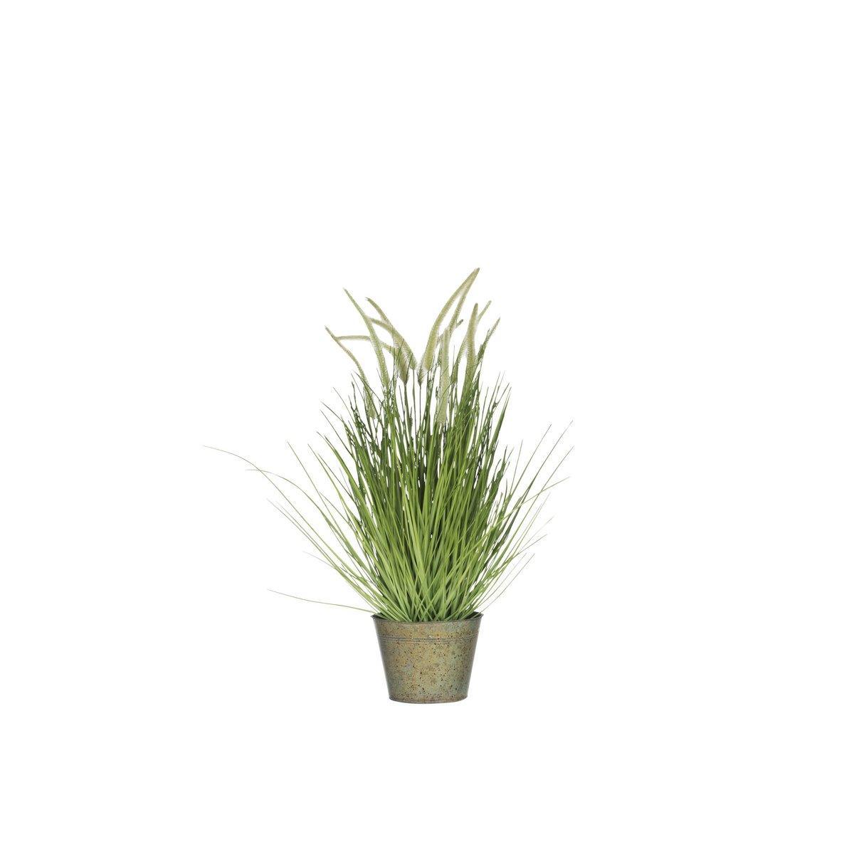 J-Line Grasses+Tails In Pot Metal Green Plastic Green Medium