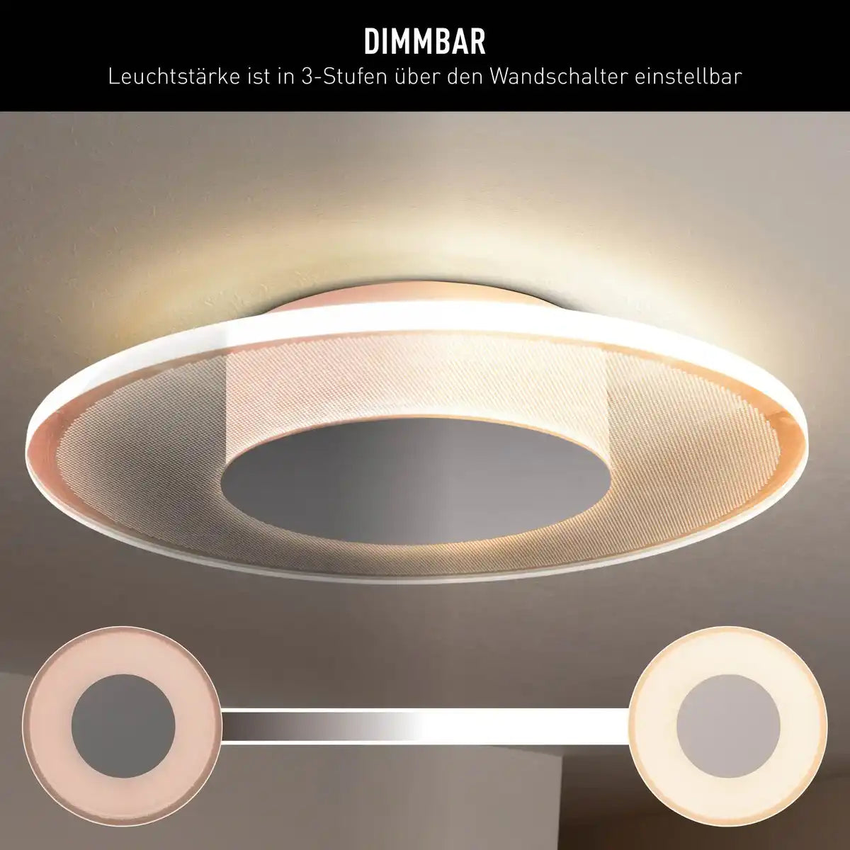 LED Deckenleuchte "MODESTO" d: 29cm