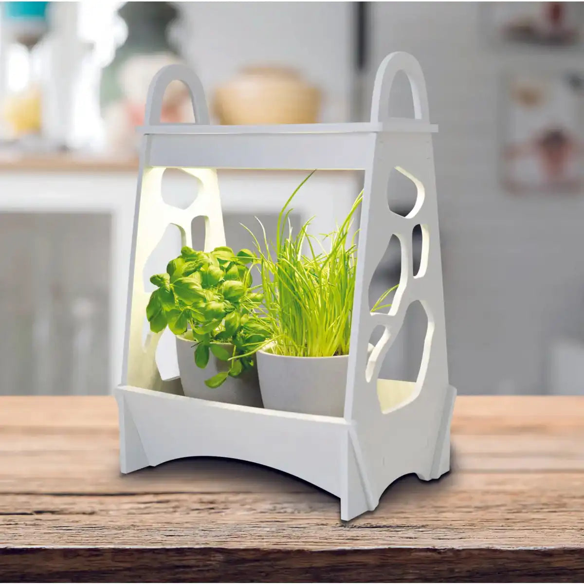 LED-Mini-Garten h: 50cm weiß "Garden"