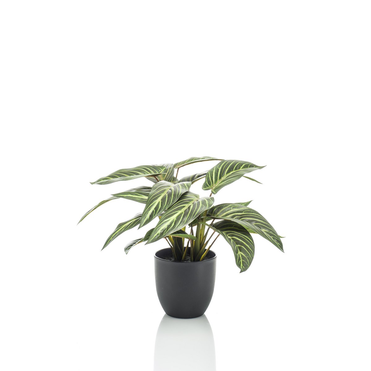 Kunstpflanze - Calathea Zebrina - Schattenpflanze - 38 cm