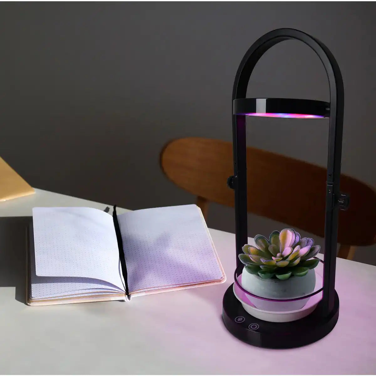 LED Pflanzen-Tischleuchte 53,5 cm hoch, aus Metall und Kunststoff in Schwarz, mit integrierter LED