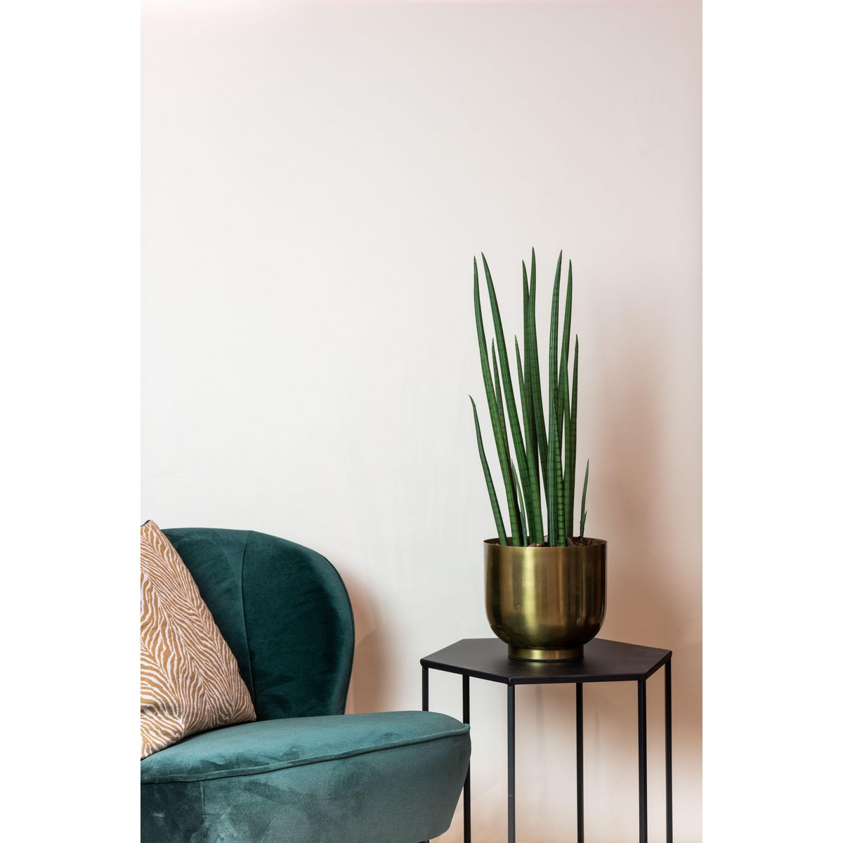 Kunstpflanze - Sanseveria Cylindrica - Frau Zunge - 70 cm