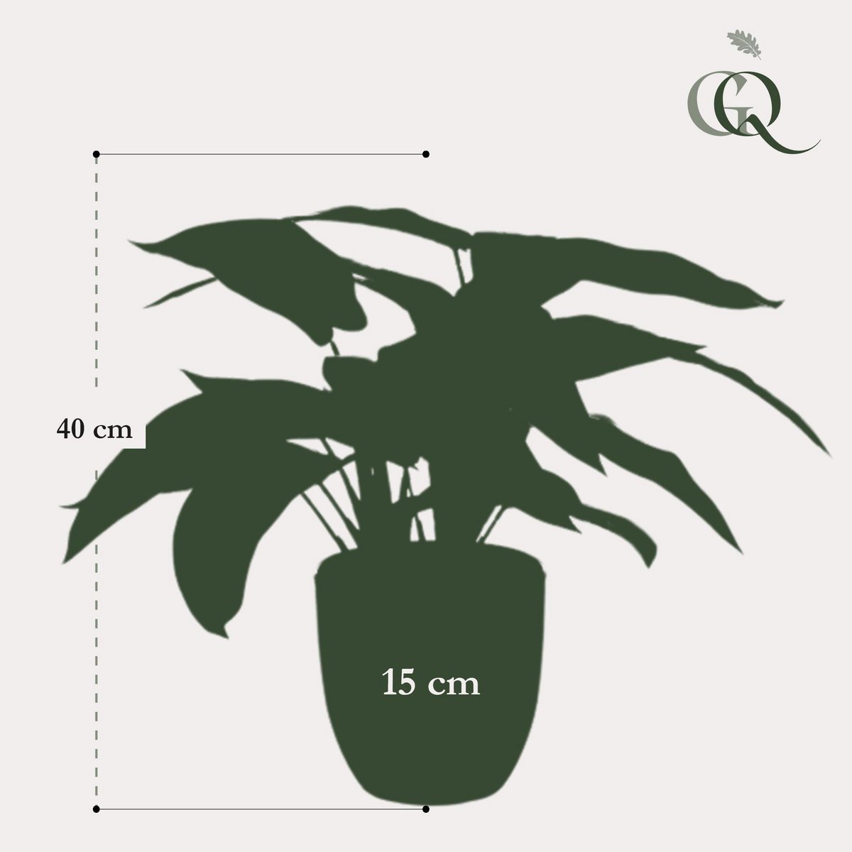 Kunstpflanze - Calathea Zebrina - Schattenpflanze - 38 cm