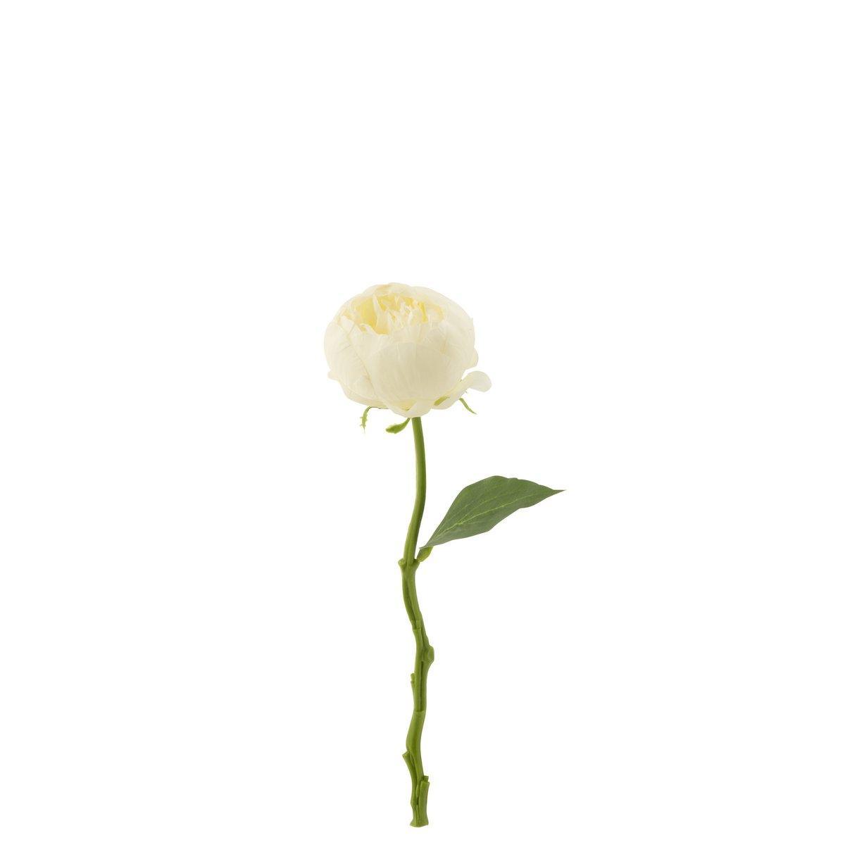 J-Line Blume Pfingstrose - Kunststoff - Weiß