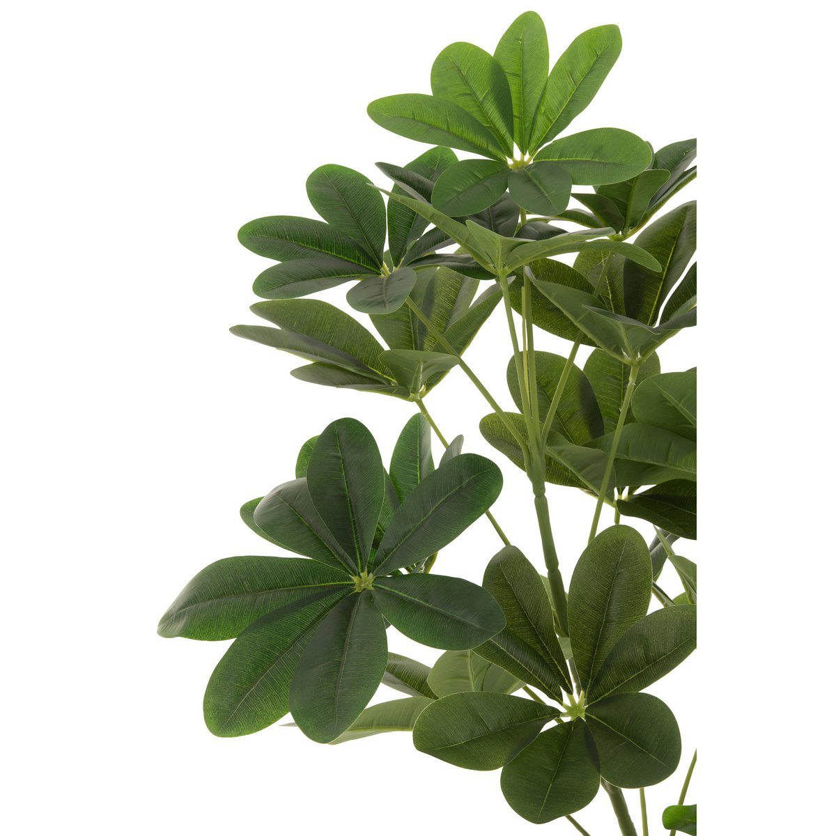 J-Line Money Tree in Topf Plastik Grün groß