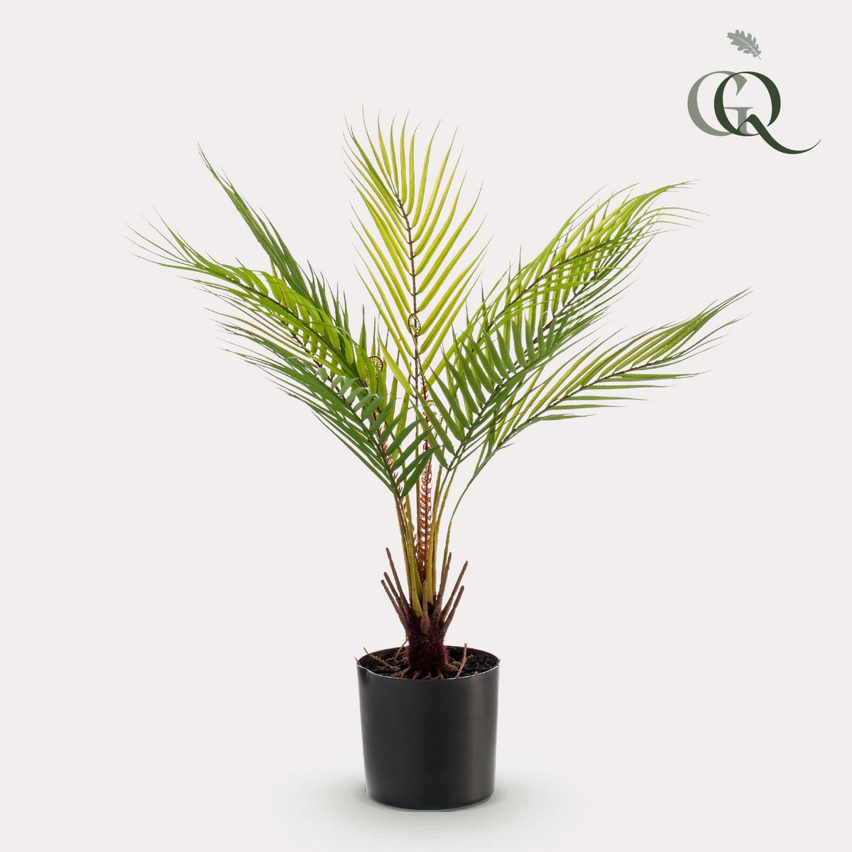 Kunstpflanze - Chamaedorea - Bergpalm - 50 cm