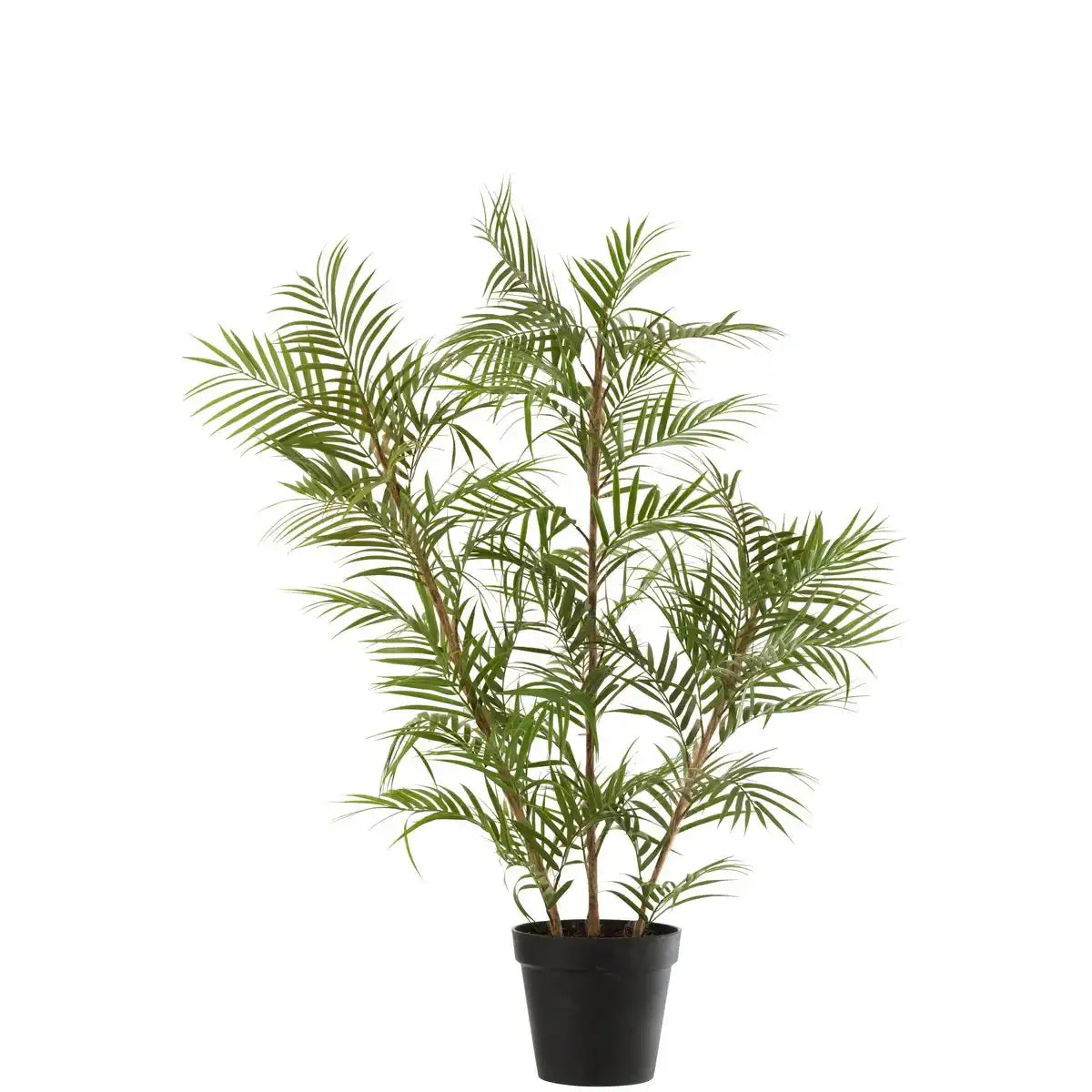 J-Line Bergpalm in Topf Plastik Grün grün/schwarz groß
