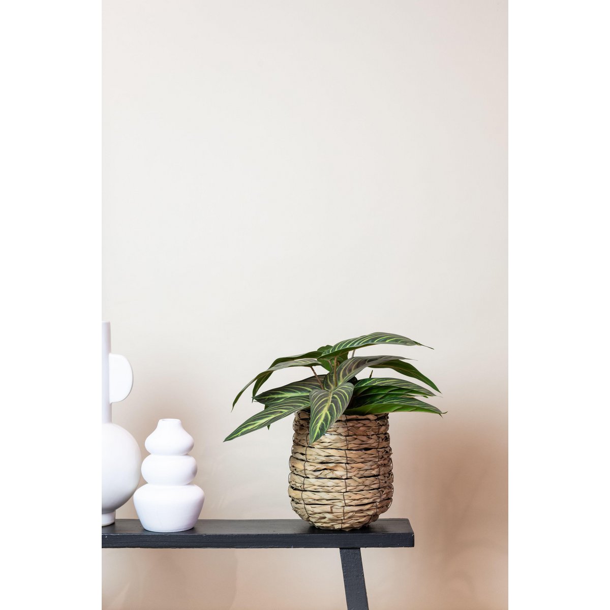 Kunstpflanze - Calathea Zebrina - Schattenpflanze - 38 cm