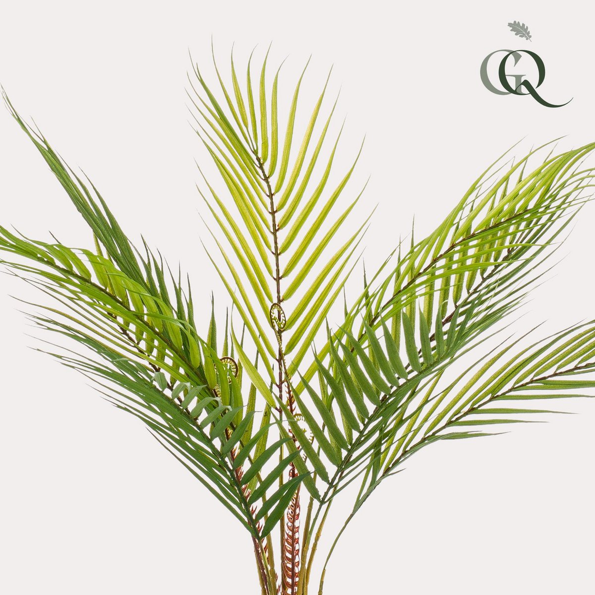 Kunstpflanze - Chamaedorea - Bergpalm - 50 cm