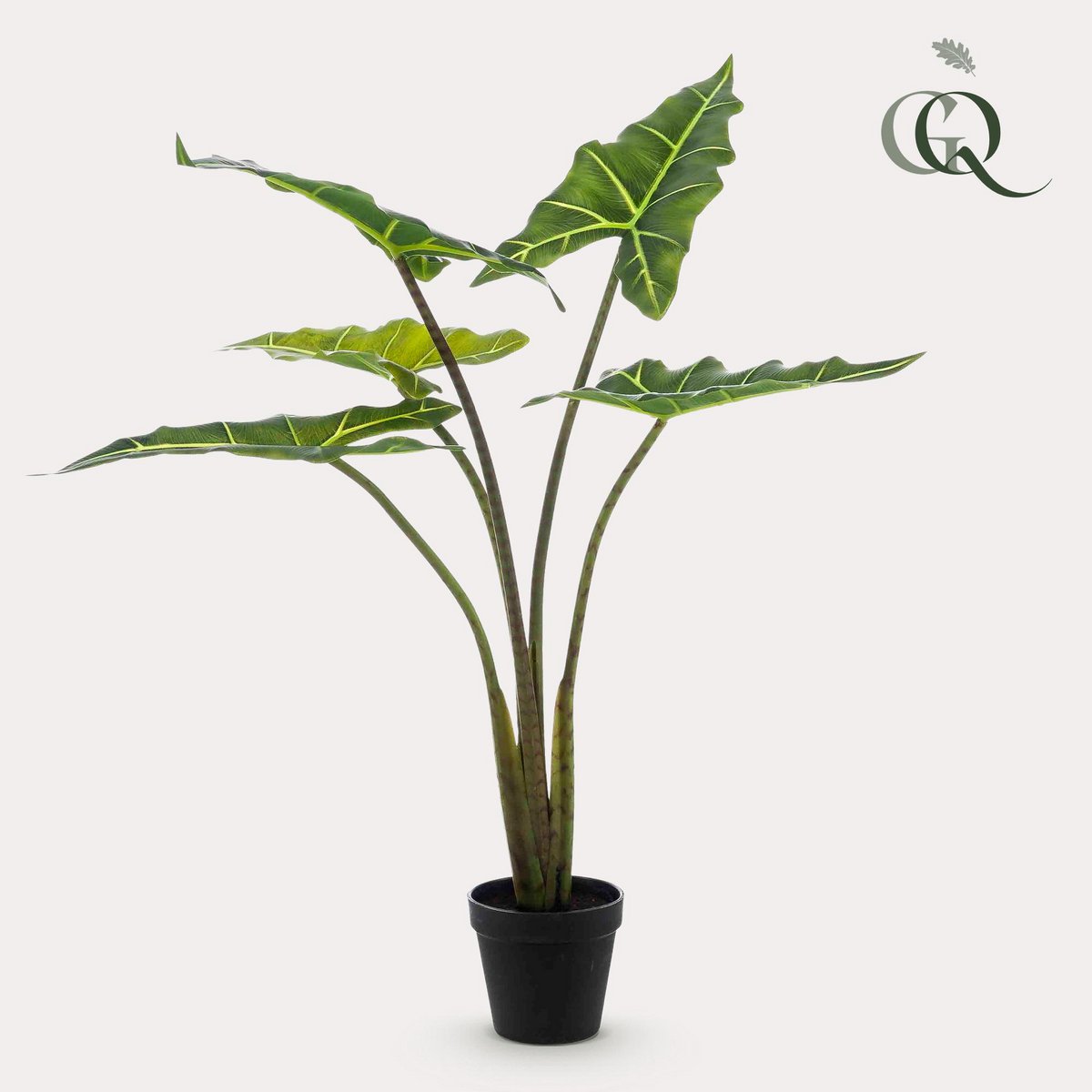 Kunstpflanze - Alocasia Frydek - Elefantenohr - 80 cm