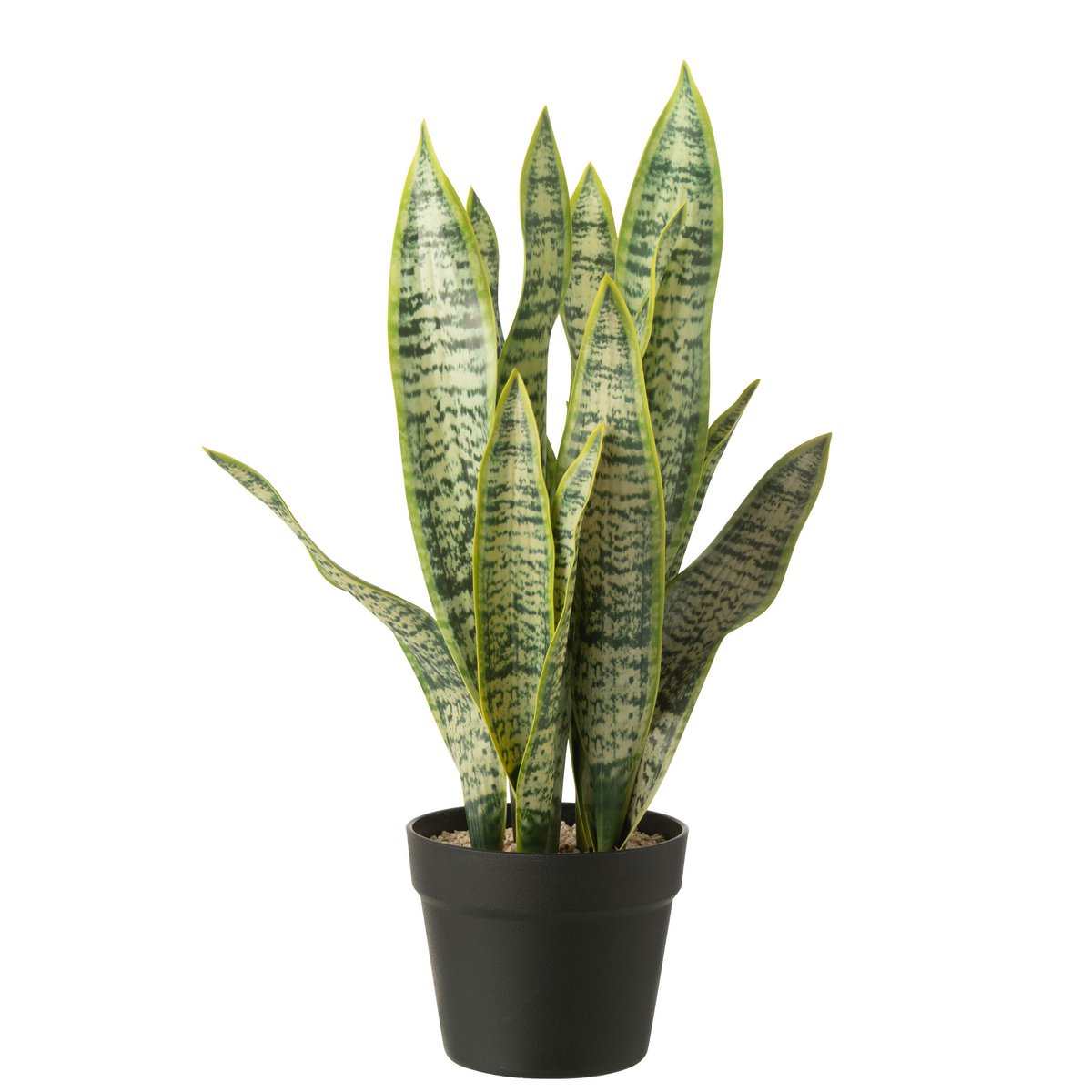 J-Line Dracaena trifasciata im Topf, künstlich, grün, groß
