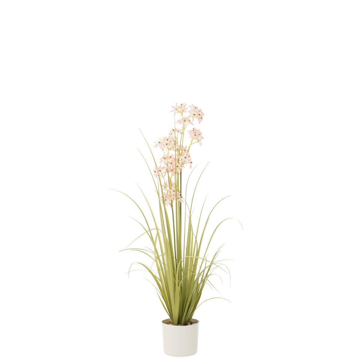 J-Line Allium im Topf, Kunststoff, Grün/Hellrosa, mittelgroß