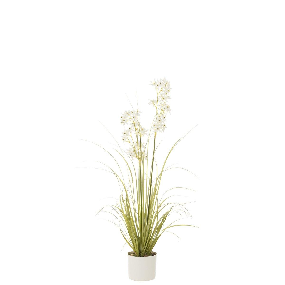 J-Line Allium im Topf, Kunststoff, Grün/Weiß, mittelgroß