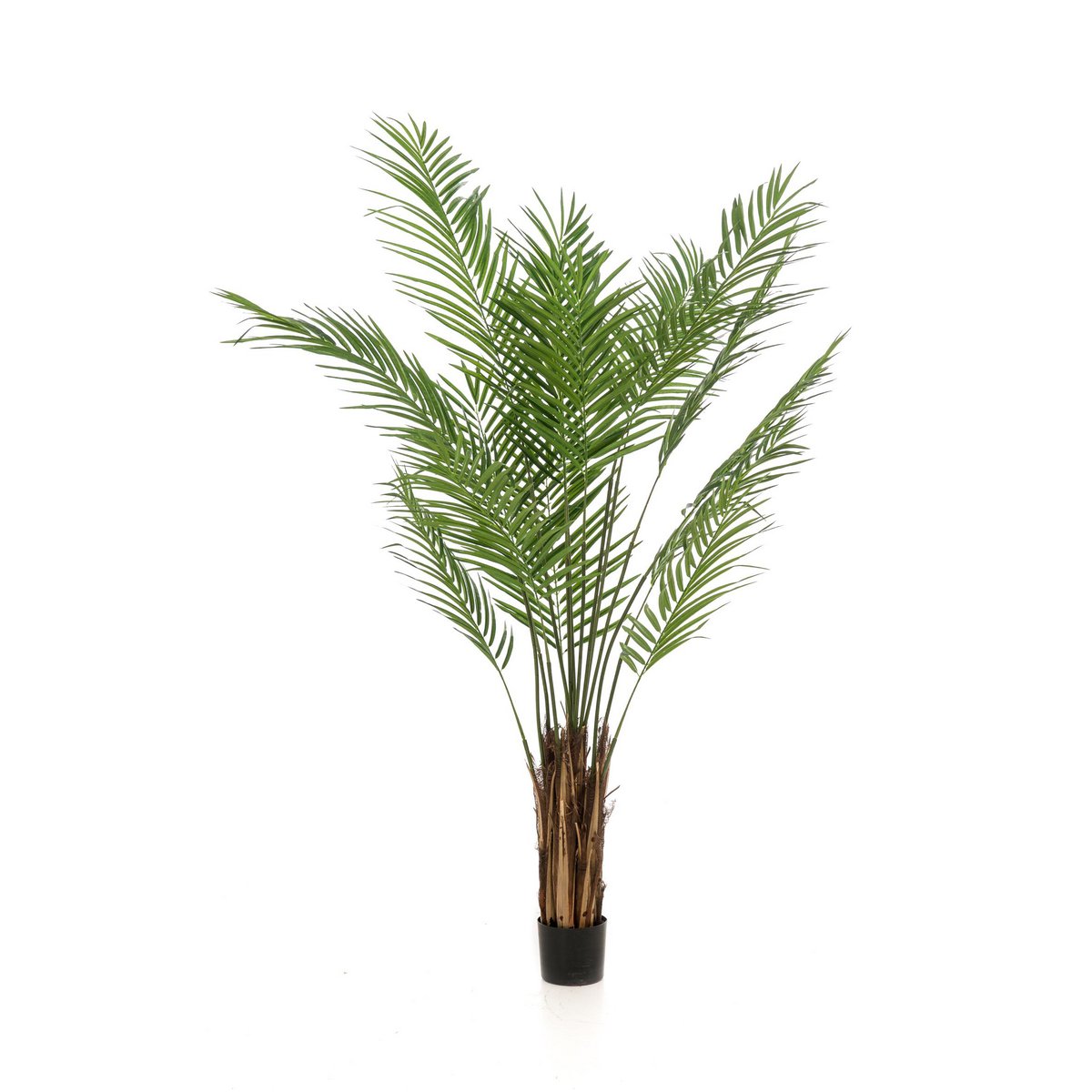 Kunstpflanze - Areca Lutescens - Goldpalme - 180 cm