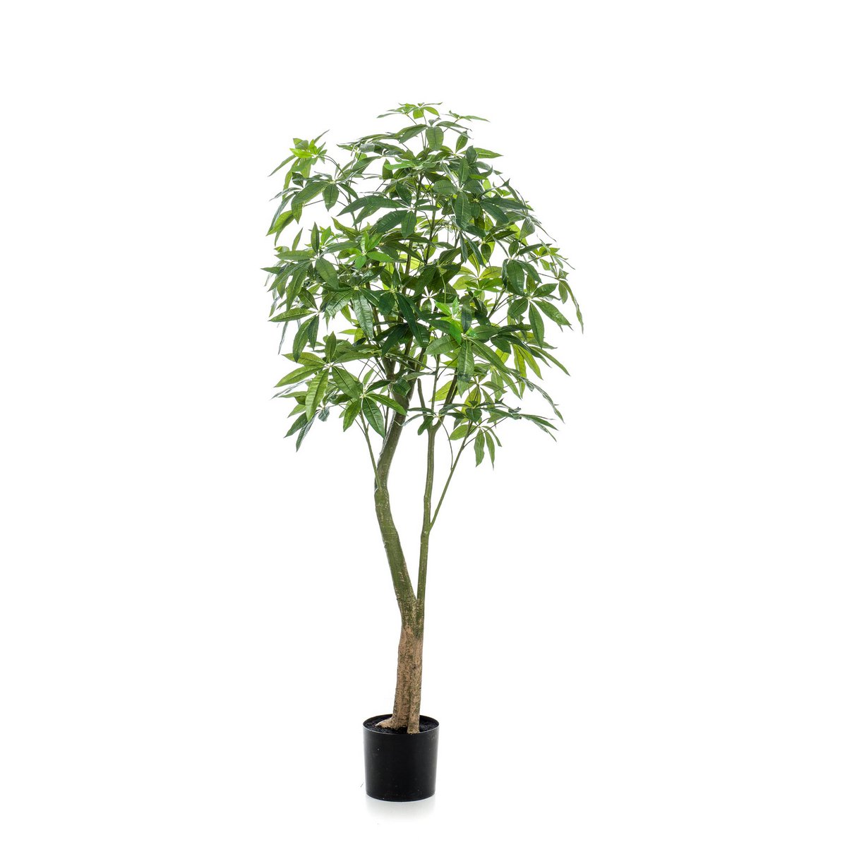 Künstliche Pflanze - Pachira aquatica - Geldboom - 180 cm