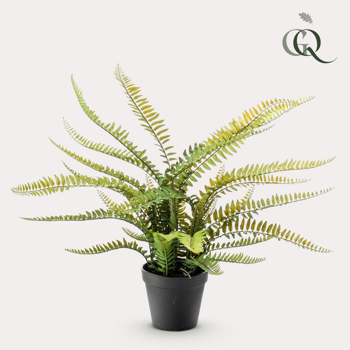 Kunstpflanze - Nephrolepis exaltata - Bostonvaren - 55 cm