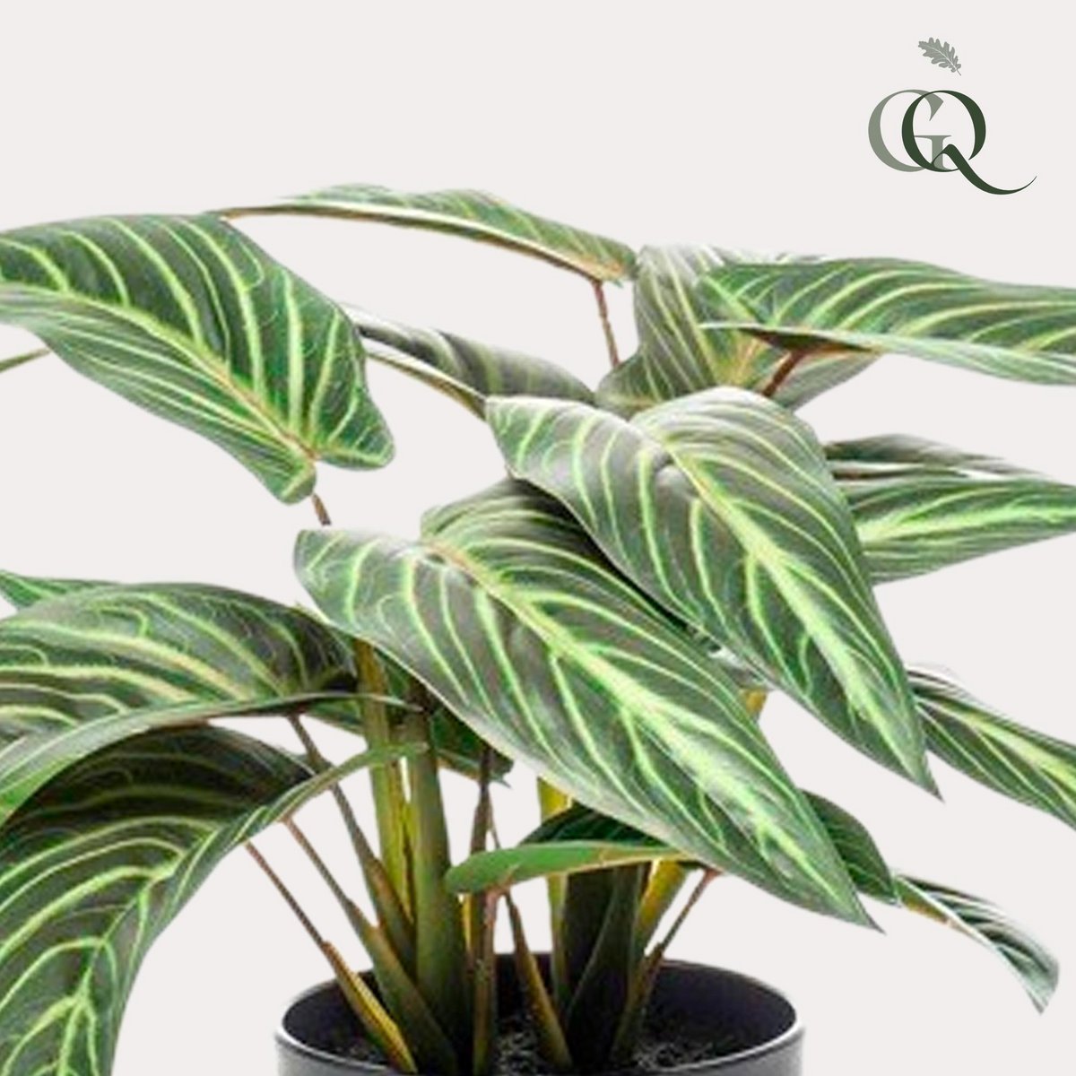 Kunstpflanze - Calathea Zebrina - Schattenpflanze - 38 cm