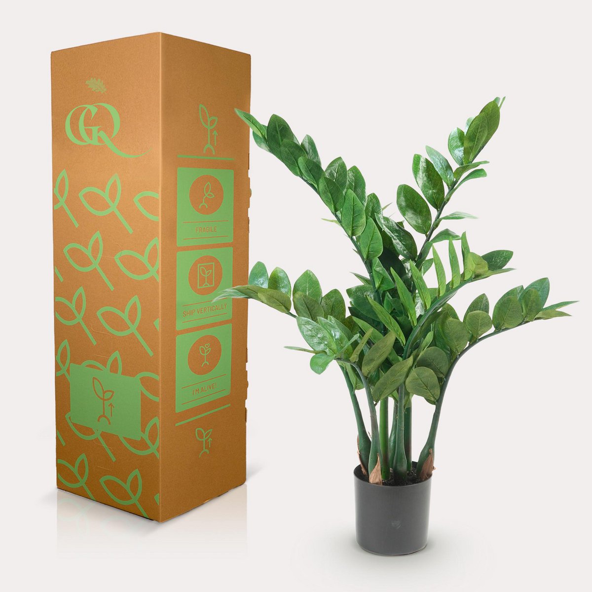 Künstliche Pflanze - Zamioculcas - Stadtpalme - 70 cm