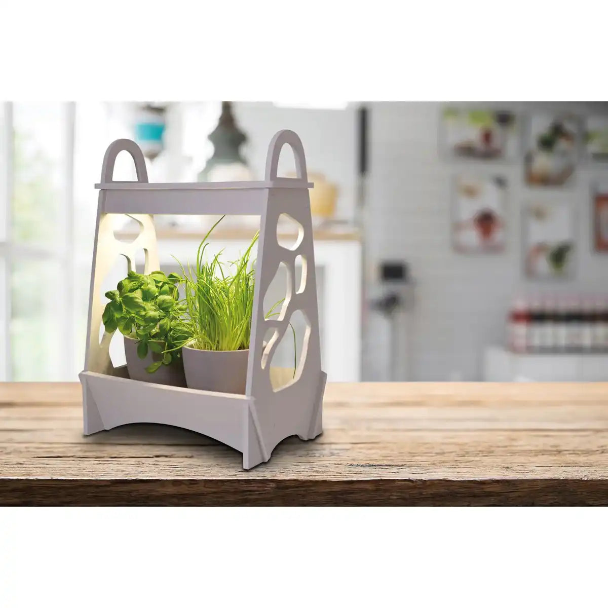 LED-Mini-Garten h: 50cm weiß "Garden"