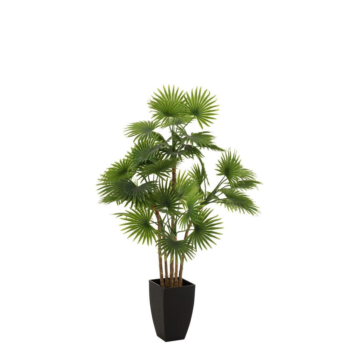 J-Line Palmenfächer im Topf, Kunststoff, Grün