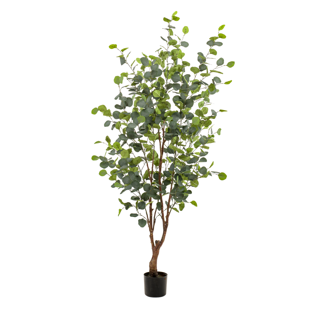 Künstliche Pflanze - Eukalyptus - Blue Gum Tree - 140 cm