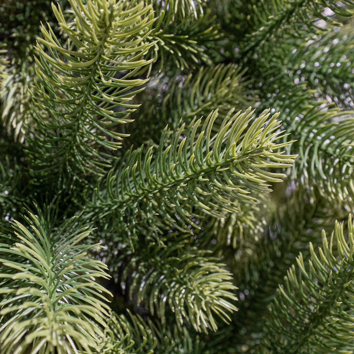 Künstlicher Weihnachtsbaum – H210 x Ø115 cm – Grün