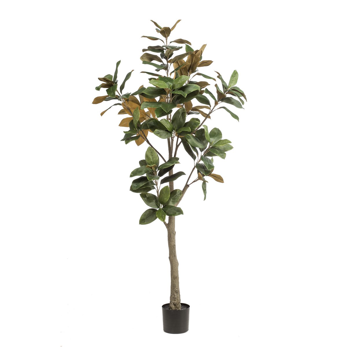 Künstliche Pflanze - Magnolia Grandiflora - 180 cm