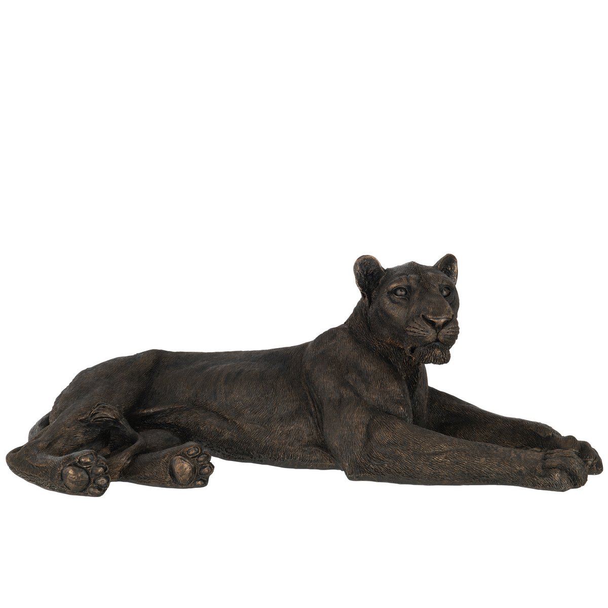 J -Line Decoration Low -In -Kleidungsstücke - Polysin - Bronze